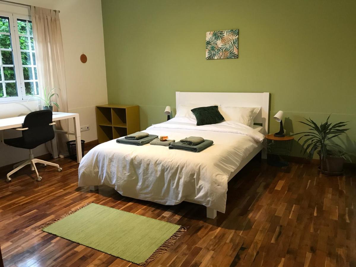 ריביירה גראנדה Lava Acores Coliving & Coworking מראה חיצוני תמונה